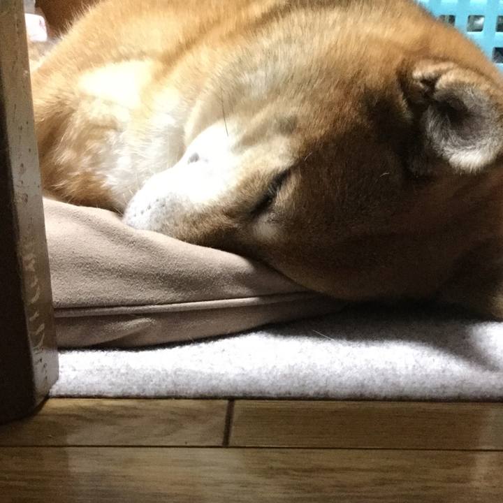 4426f3be 48c9 4857 a514 b98beb4dbd64 1568382335509