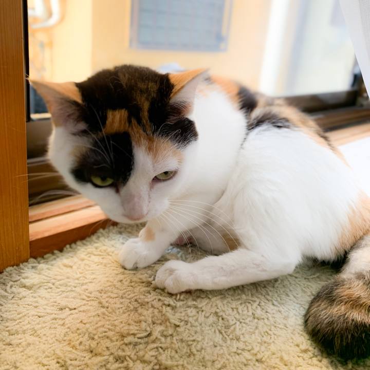 4427017d 1da1 4b89 af76 79b0b7cebbdb 1574900822301