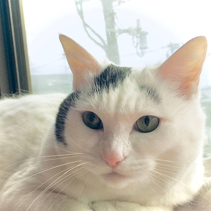 44272add 1585 4add be45 d480ac81ada1 1609409126197