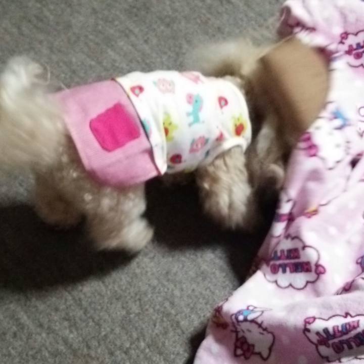 4427c1dc 0456 4cf8 88aa 89cd7b127f73 1531224002903