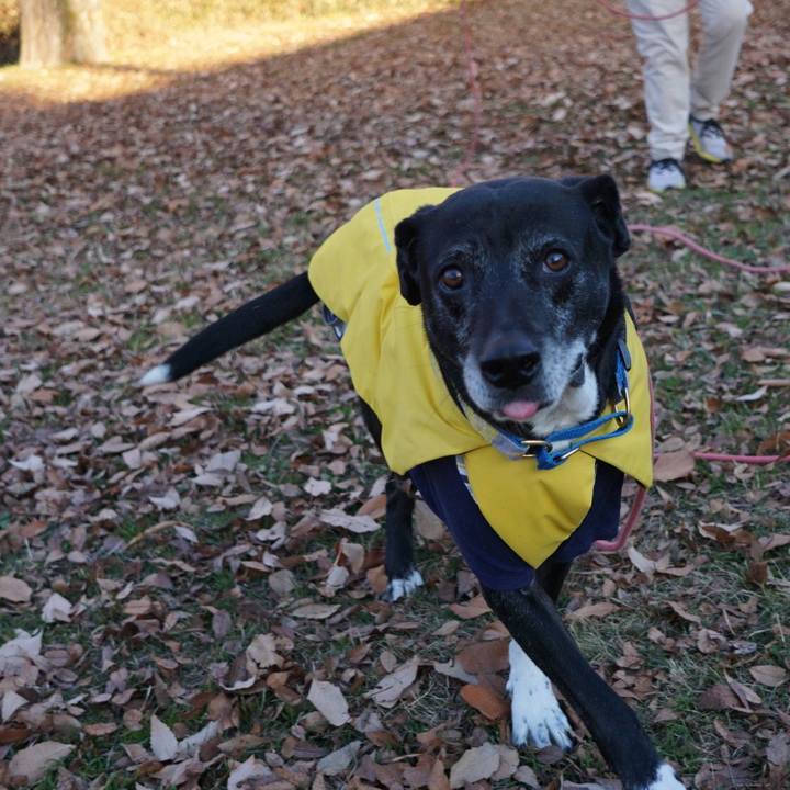 4427d078 6a6c 4e5f a812 07dee69fa33f 1767660961970