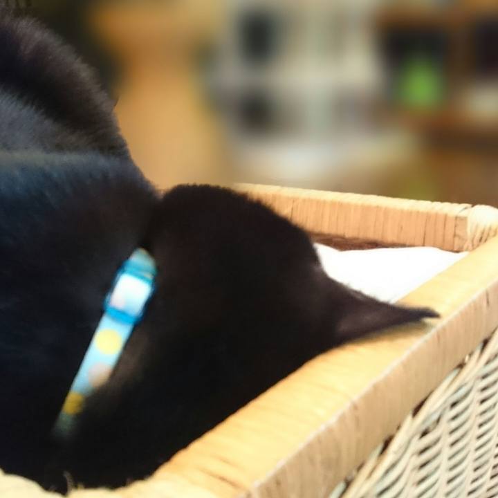 442815eb ca90 4df1 a95b e1acf2c334ad 1516795156414