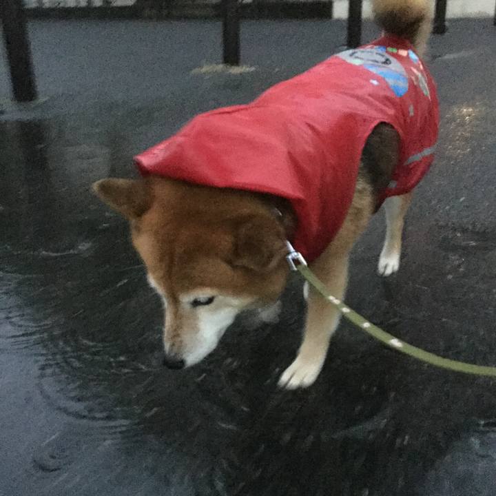 442820c4 117d 4841 ace1 45298fca57a5 1603095974501