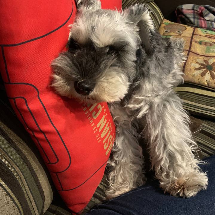 44285353 cd8f 446d 9891 b1c6ea73b8e4 1631941125391