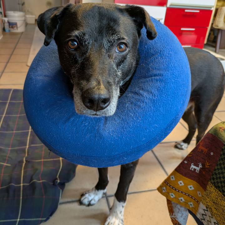 44285805 f751 4278 8e43 6fed94328079 1749600526407