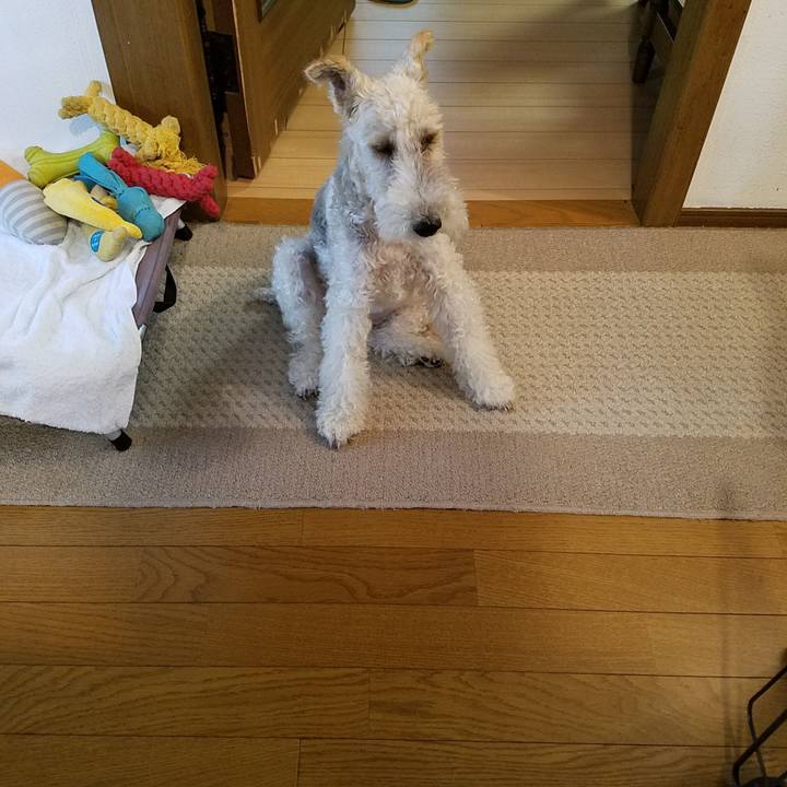 4428646e 5734 4ee8 8ff4 192eaa4c29d6 1563091352142