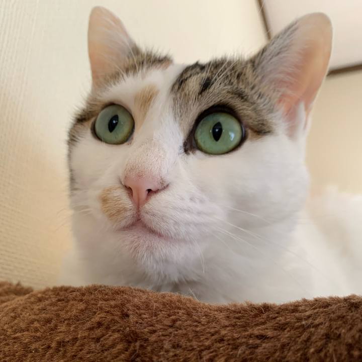 442868f6 d63f 4b26 9ae8 b86a578fe659 1648695243729