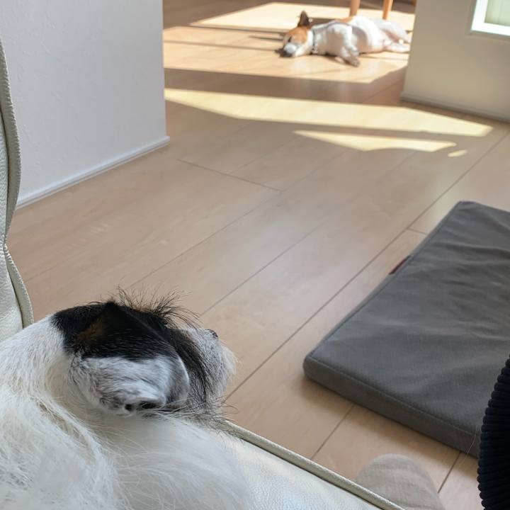 442918f7 e738 400a b266 d0844a7cd6f8 1592284037286