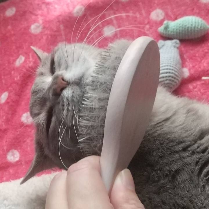 44294711 299e 459a 9917 a871c7945e2d 1687903605938