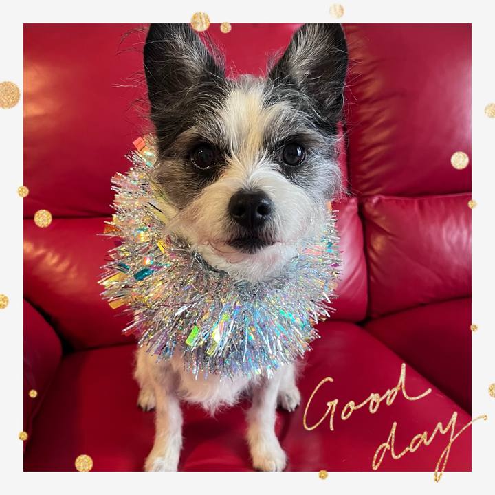 4429582d a29b 44fd b706 d02685d8a4f0 1772019103358