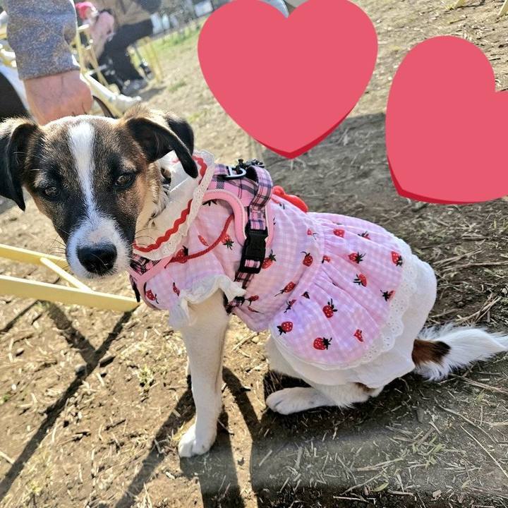 442967c2 75e8 43be 98ea 06097d518ffd 1773478191965