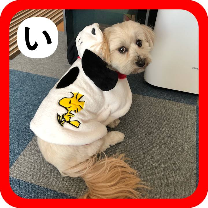 44296cb6 b4cb 422a a59c a4522feffc4e 1515312566931