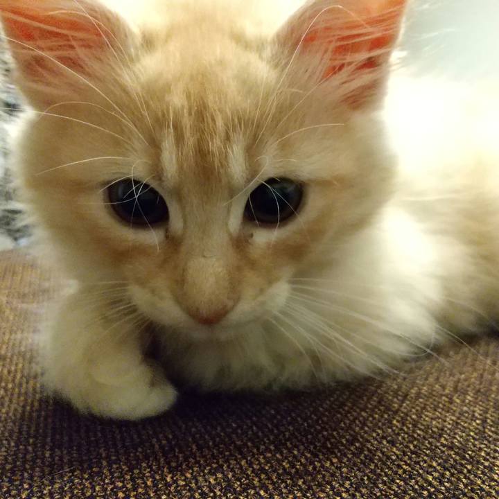 442970c9 24ce 4404 ba2f 1022b1d617a5 1603973020231