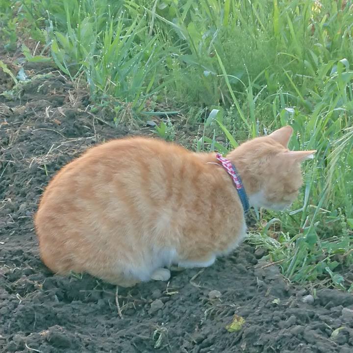 4429b566 db15 4329 b5a3 5774f3157406 1559163516649