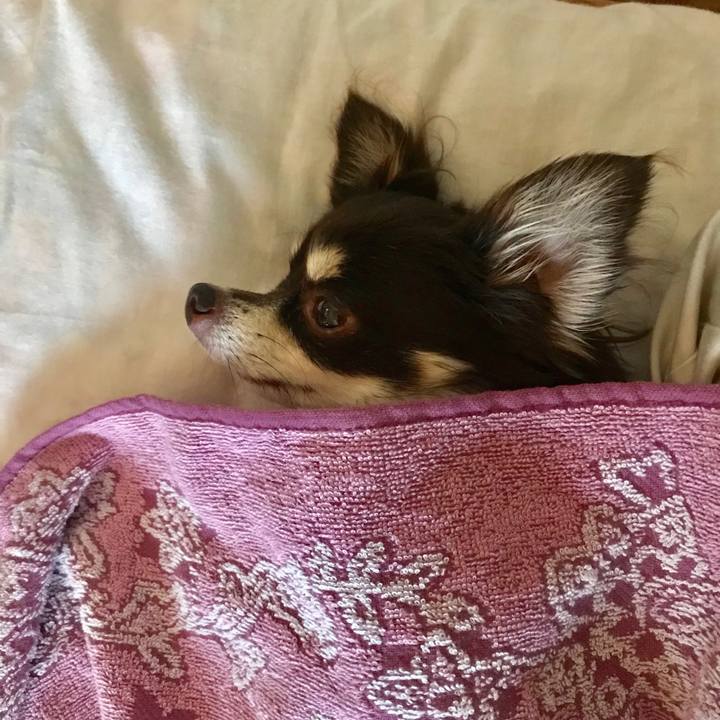 4429d017 553b 4c57 8dd0 719c7713b42a 1534922614587