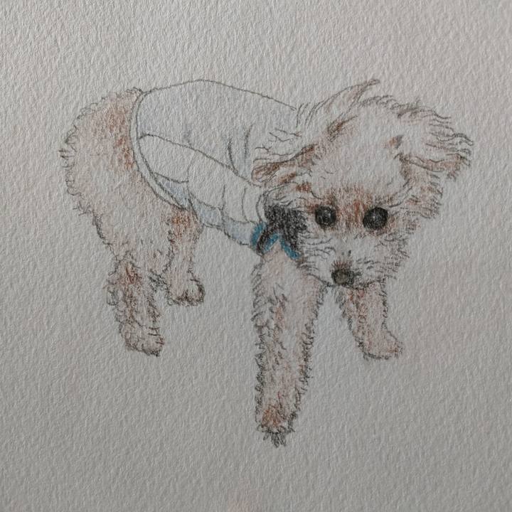 4429d190 1602 4705 ba4c ebdbd03394cb 1750576892181