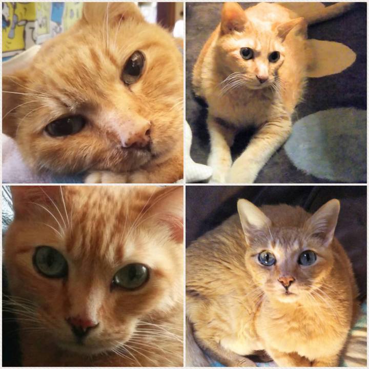 442a1a6c 5fc1 4fd7 8942 f467b807e6b9 1517917669184