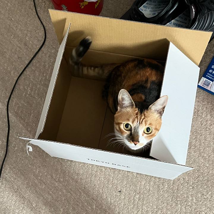 442a6997 86ed 450d a073 5c40b3d0adf3 1769684224767