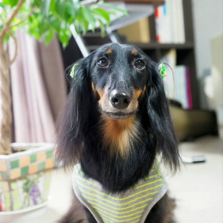 442acb84 f599 4ce5 bc6f 6c82f4ec2fa4 1536289766739