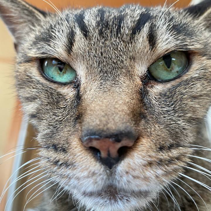 442b1529 9b50 4816 afe6 9640e38d144e 1630719149690