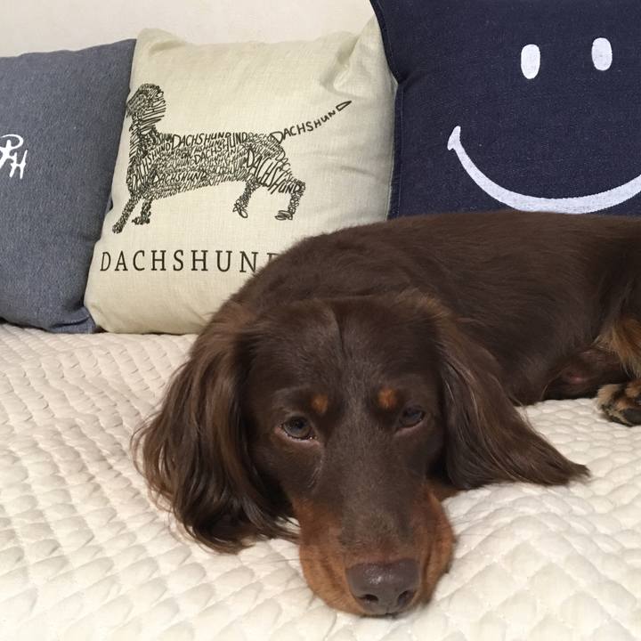 442b17b9 2070 4e4b aeef 96e779ae72ba 1508569840538