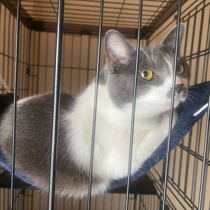 442b2663 bddd 4e0c 9028 14257ff5dce6 1653785292803