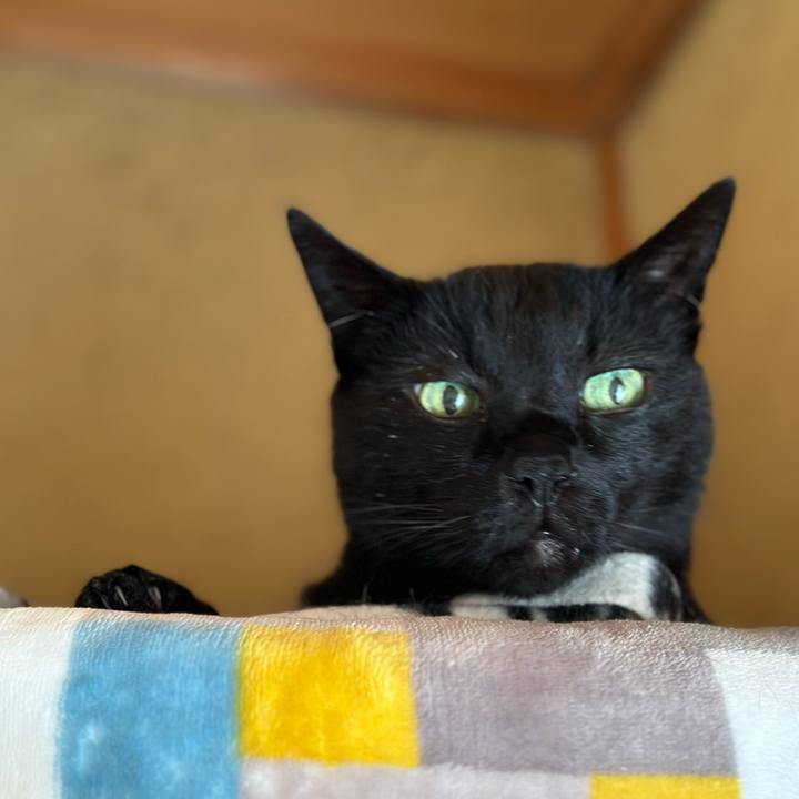 442b2f74 9a6e 4029 9b73 1bcc15f83eaa 1683337232929