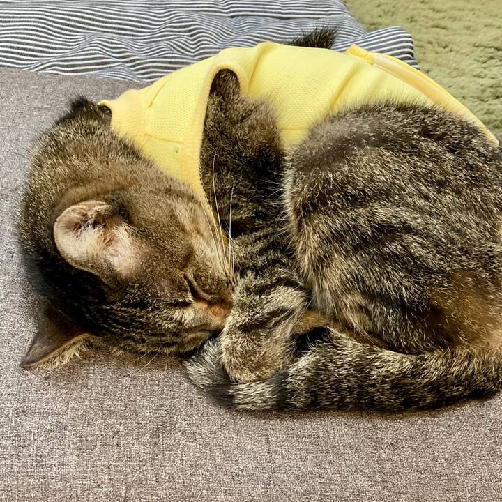 442b798e cfe6 4be4 8bb9 6ae030b91675 1683515323860