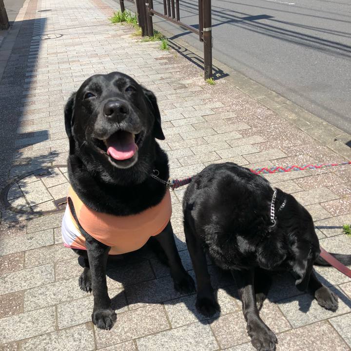 442bfb0d 76ec 4038 8363 8a73c74a198d 1526987558004