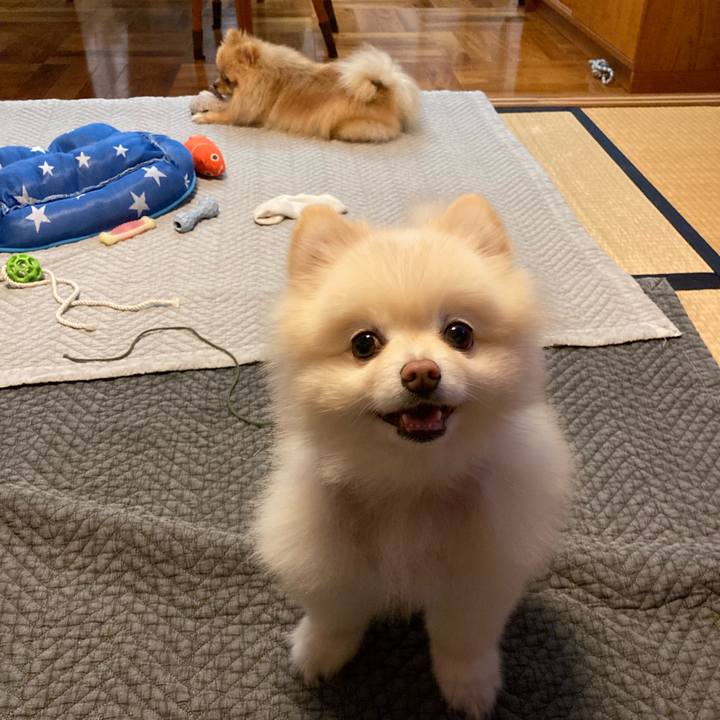 442bfb6e 3ae8 4b15 9a47 93699953539f 1686225885737