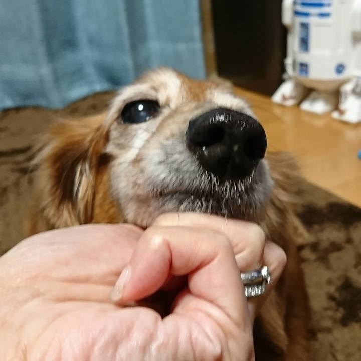 442c1789 0c28 437d 8065 bf29c54ee1c1 1515885993264