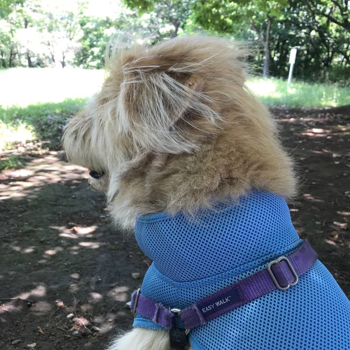 442c567f 5ebb 495a 92c6 1982d2d71ed9 1559186225307