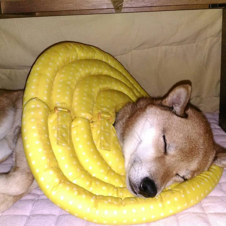 442c7837 58b5 4cc0 8583 f8f513c59c80 1508388332601