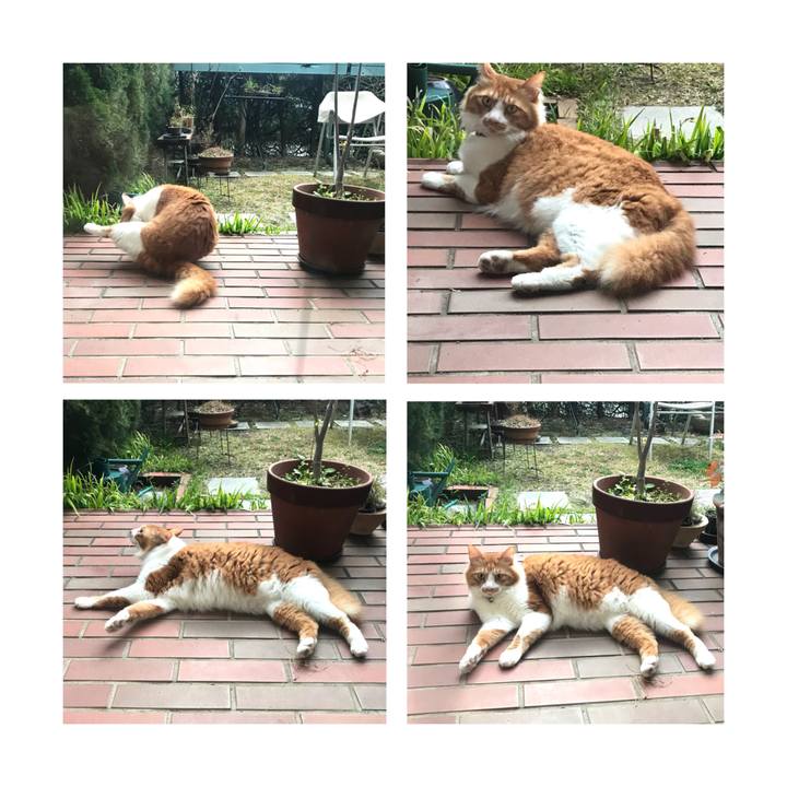 442c96b0 7ae6 454b 8b6c 124d19296f82 1646371042211