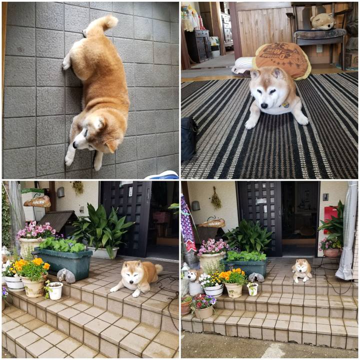 442d0a99 f4dc 4d59 9e6b b6cb19086631 1745459694115