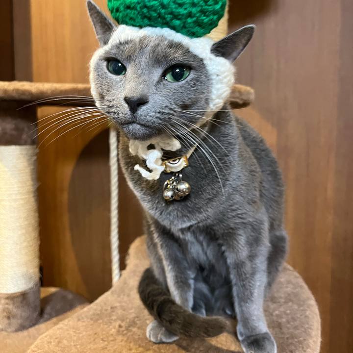 442d0f77 9552 44cc 8ddb 5d0c571014f8 1735383681354