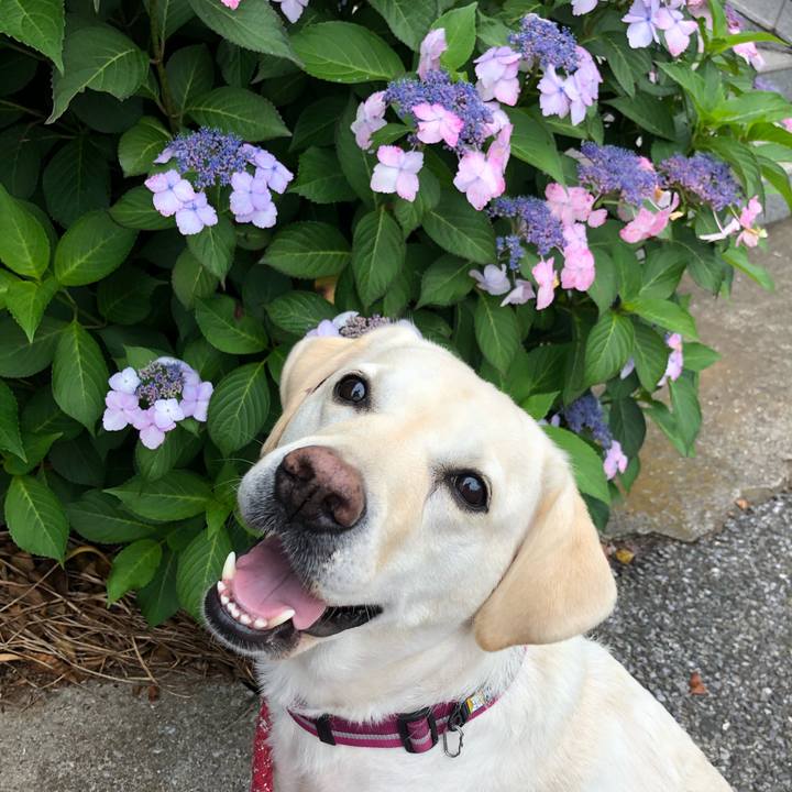 442d2ea6 b808 4cb6 9c2a ec8bdb9a273b 1623028313129