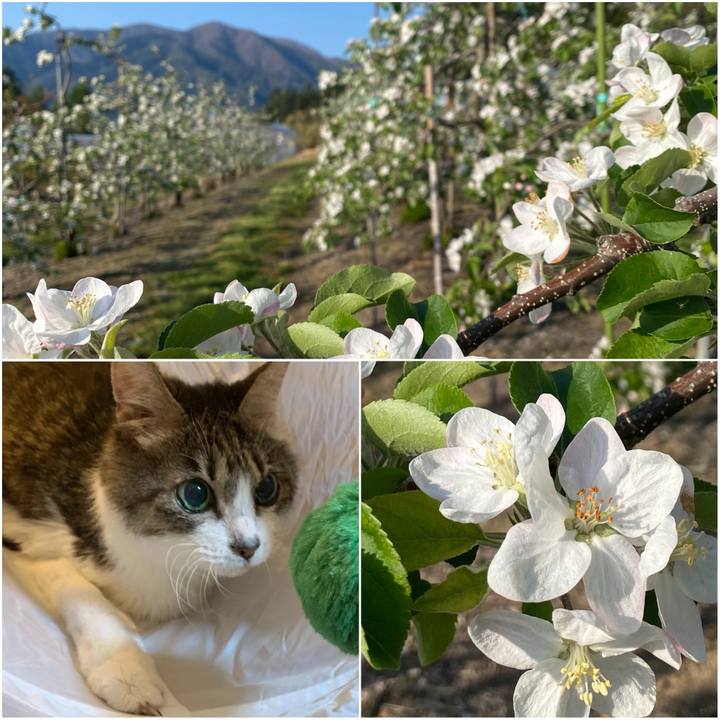 442d9c09 171d 455b 98f0 128d7b04a6ea 1746050888218