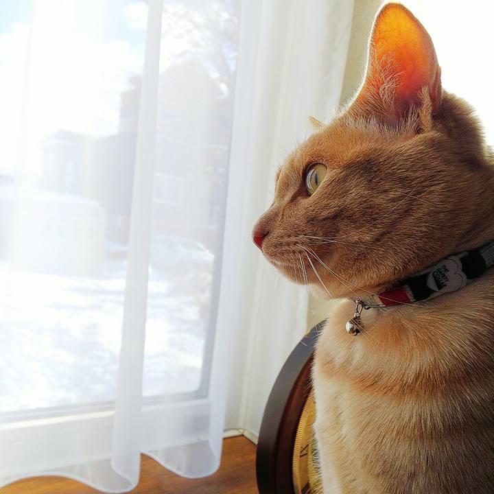 442d9e40 b5cd 44b2 ab71 abc11d5c7148 1580014611565