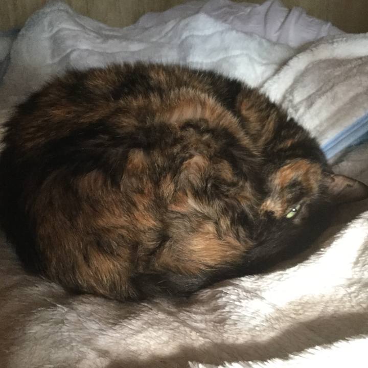 442e1d31 2ebf 4f84 9253 9c7a547faed2 1552545872945