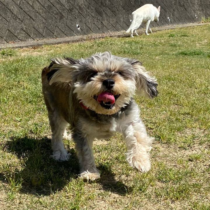 442e4108 eb9d 4433 adea ffb2b9d7af4c 1649738506763