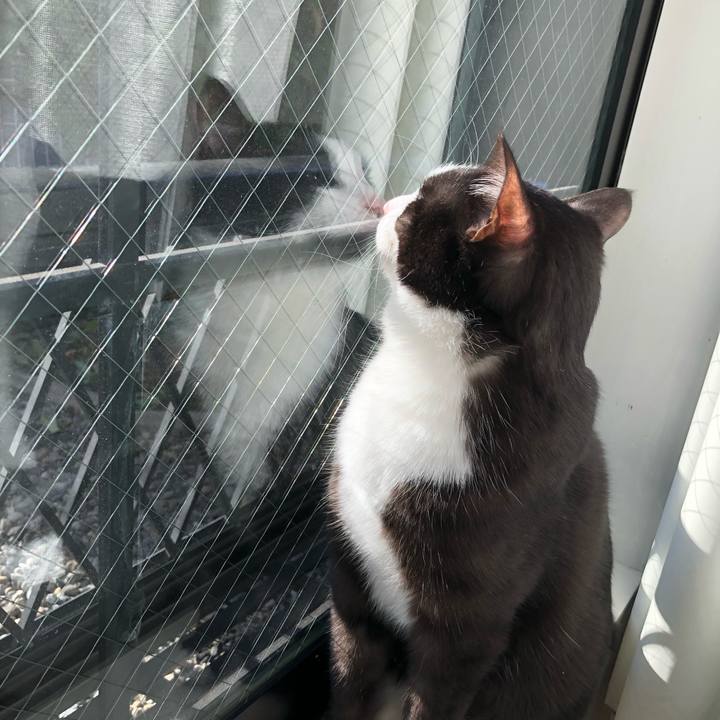 442e66cf 373e 4eb0 8d75 a1613795b13c 1515300075874