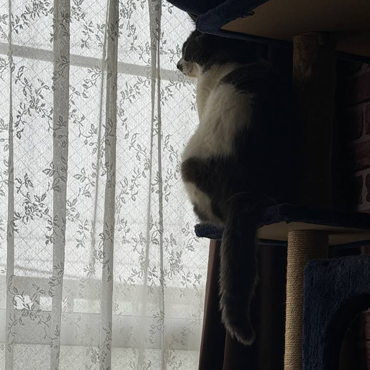 442e768a 9679 443c 9718 5a633dc18823 1772150049678