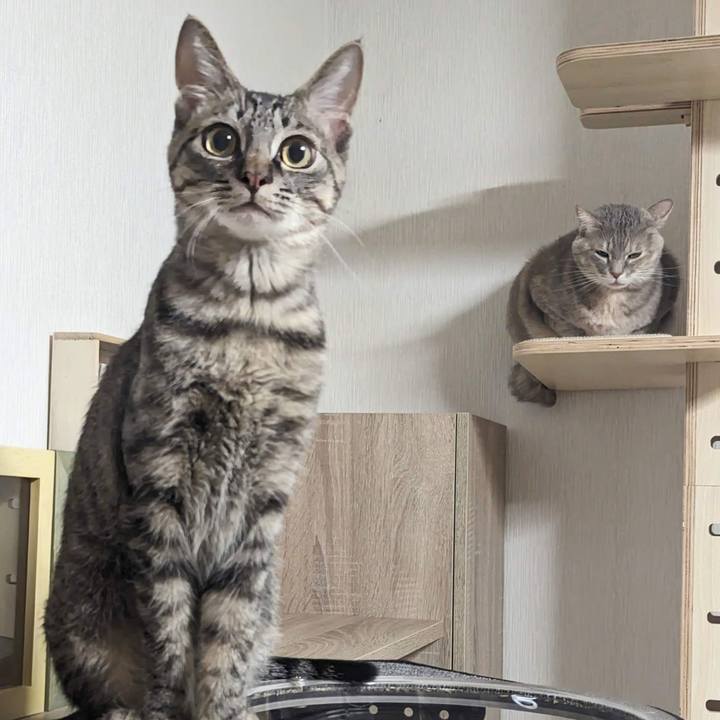 442e8e9f 71c5 4979 b6df 6510056555fc 1709005209886