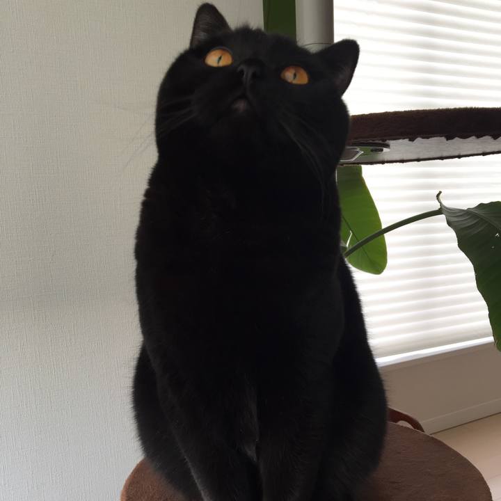 442f2d64 6304 4522 b57c 61f92799bcad 1518224751901