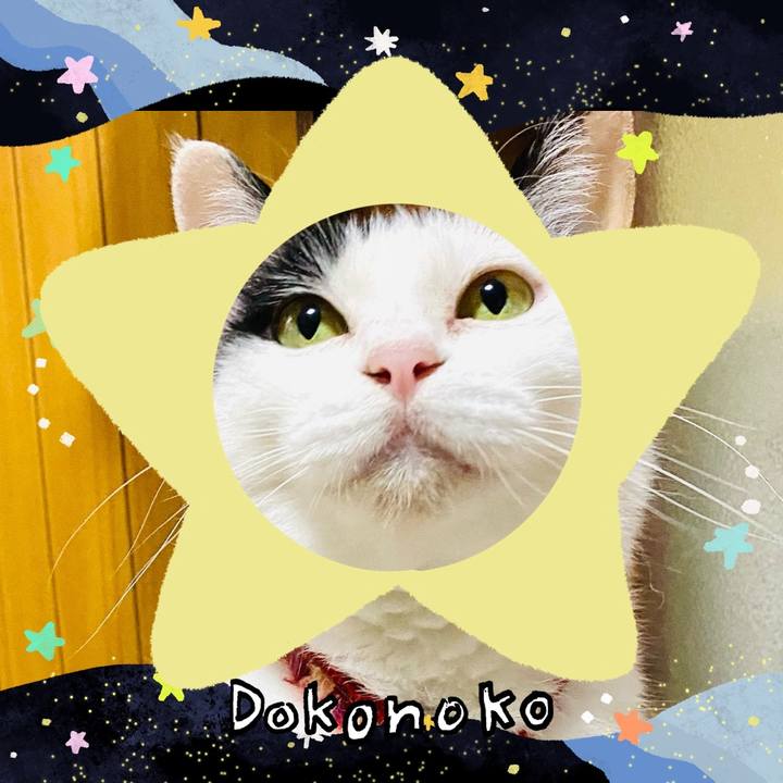 442f2fdd cf9e 4960 aec4 0a8e41eec9e4 1720864238699