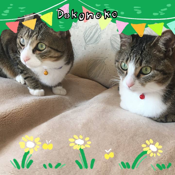 442f32ba 7c77 45fa b915 2abefdffb1f8 1711086476769