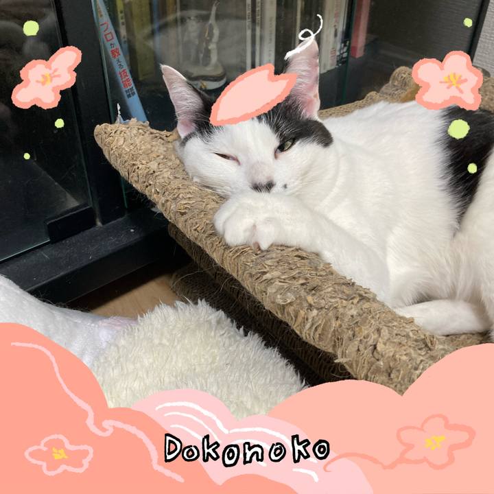 442f3a38 71e8 4992 9f69 f2c7bbeca4d1 1775261078062