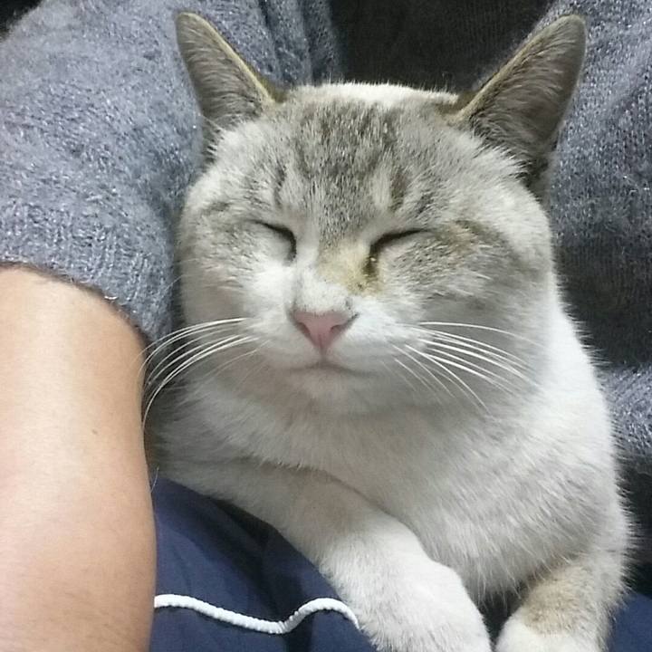 442f4fc8 cc29 47e2 8f3f e7c9592ecda0 1516376225712