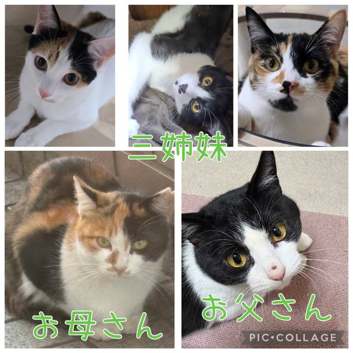 442ff5c0 7b0a 4109 830d 0f34c175986e 1768563176475